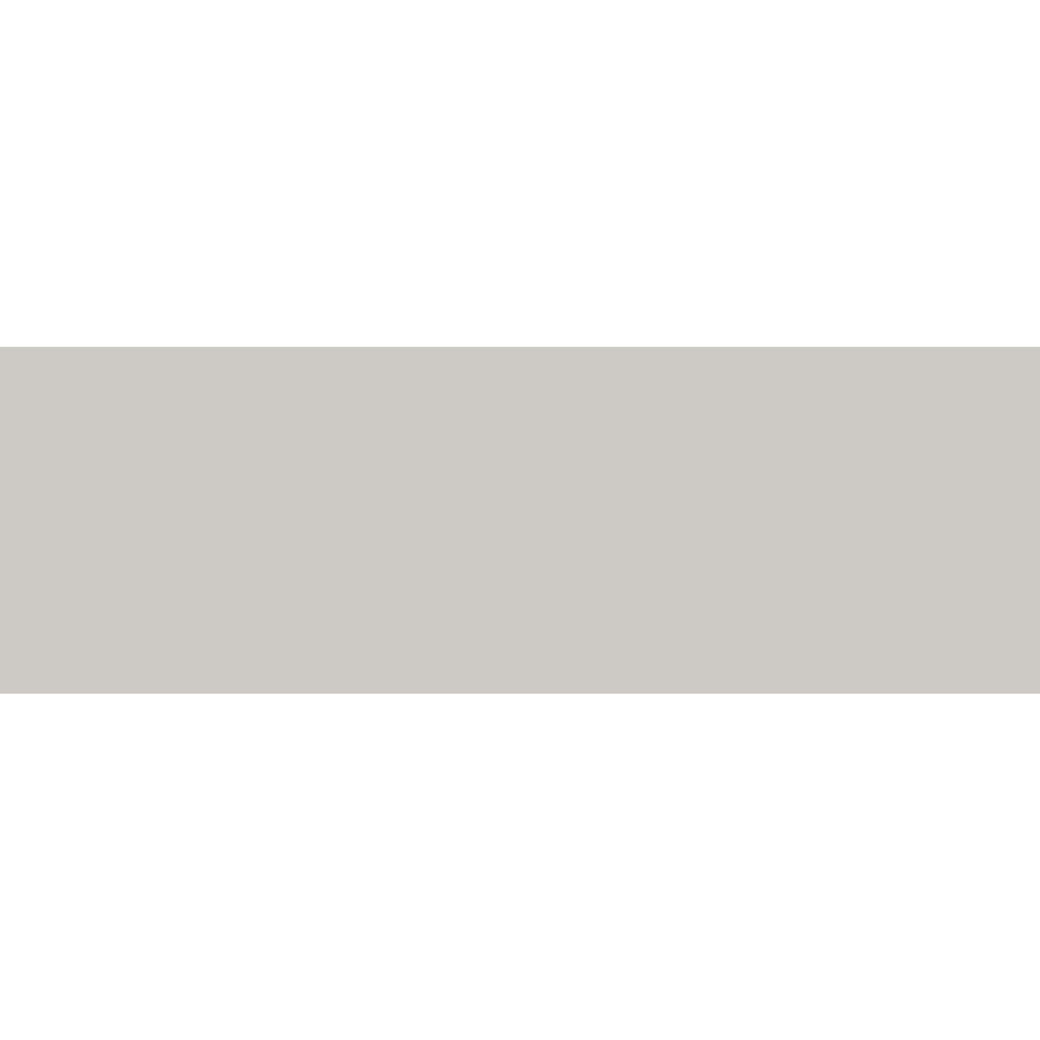 Winckelmans Rectangle 50 x 100