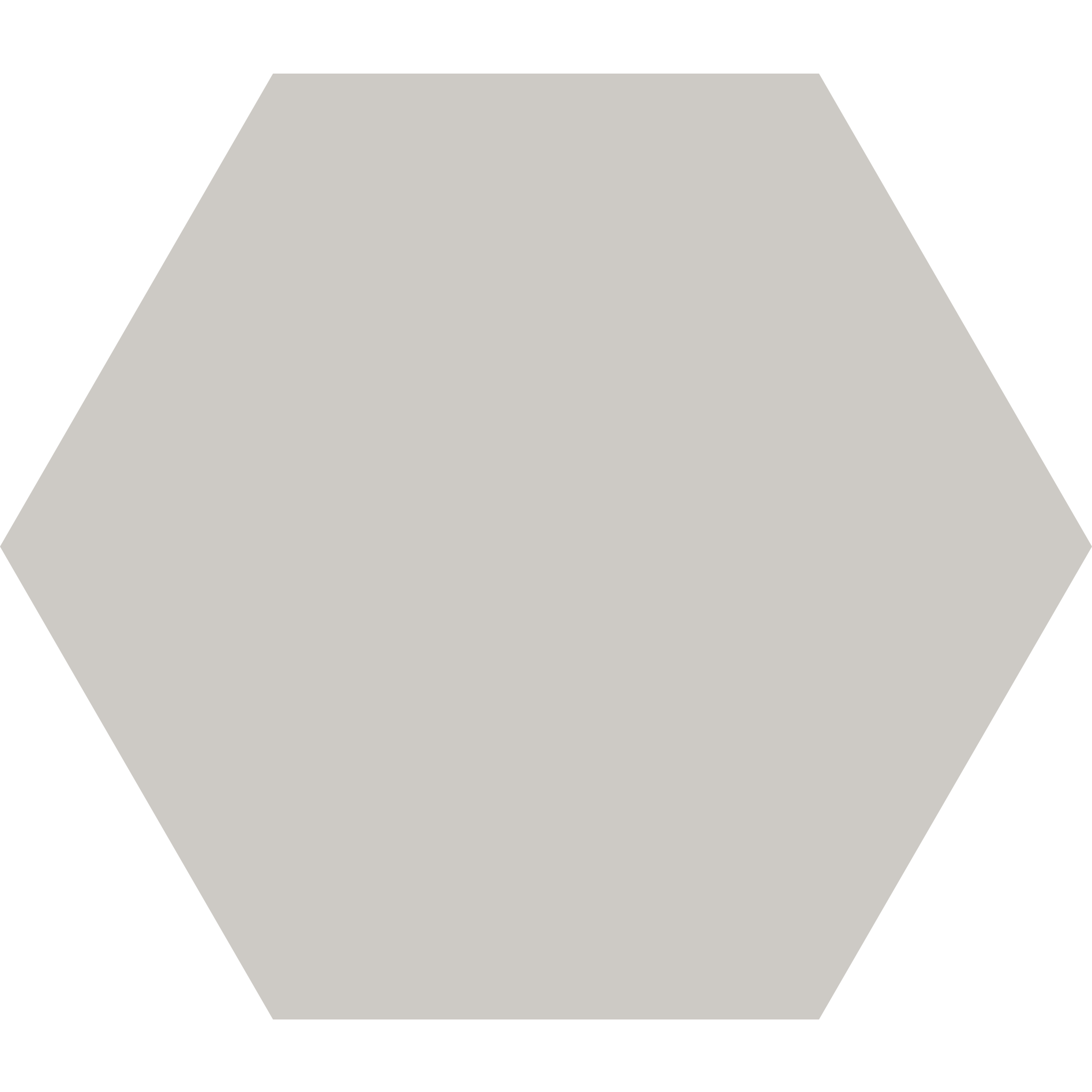 Winckelmans Hexagon 100 x 100
