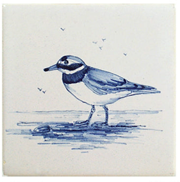 Vogels waddeneiland 8 - 130 x 130