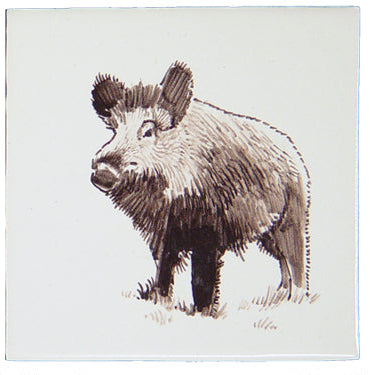 Wild Zwijn 130 x 130 x 8