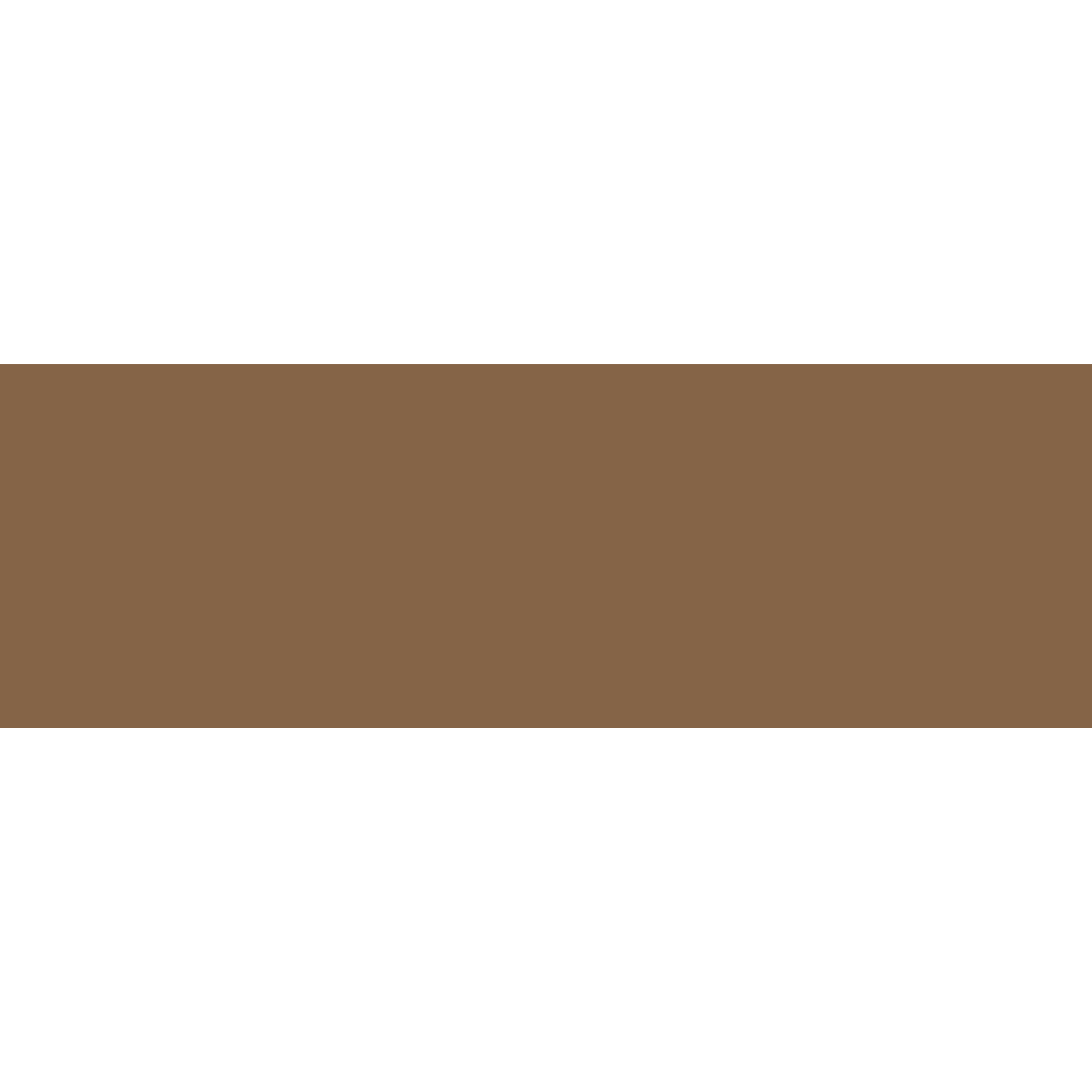 Winckelmans Rectangle 50 x 100