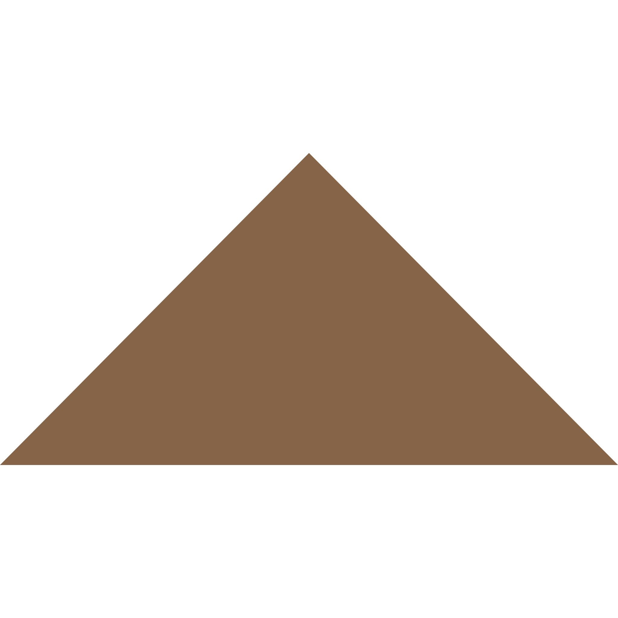 Winckelmans Triangle 100 x 100 x 140