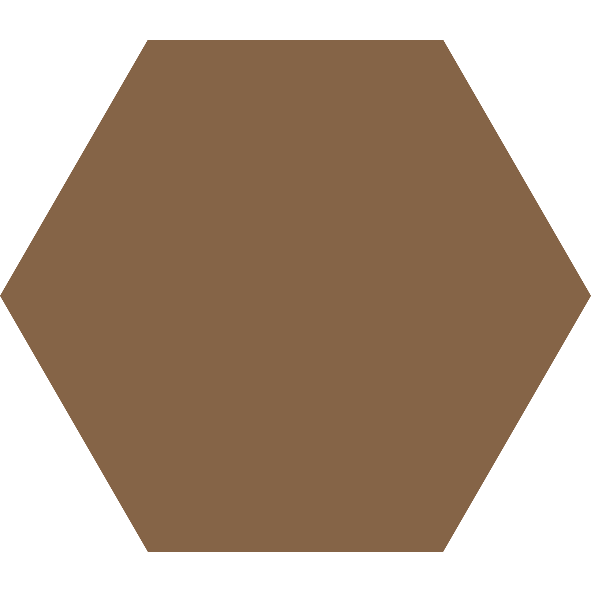Winckelmans Hexagon 100 x 100