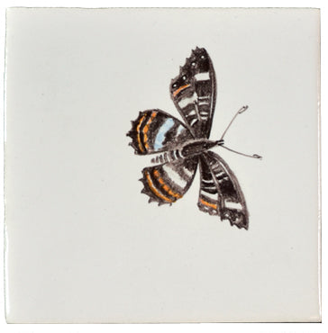 Vlinder groot 9 - 130 x 130