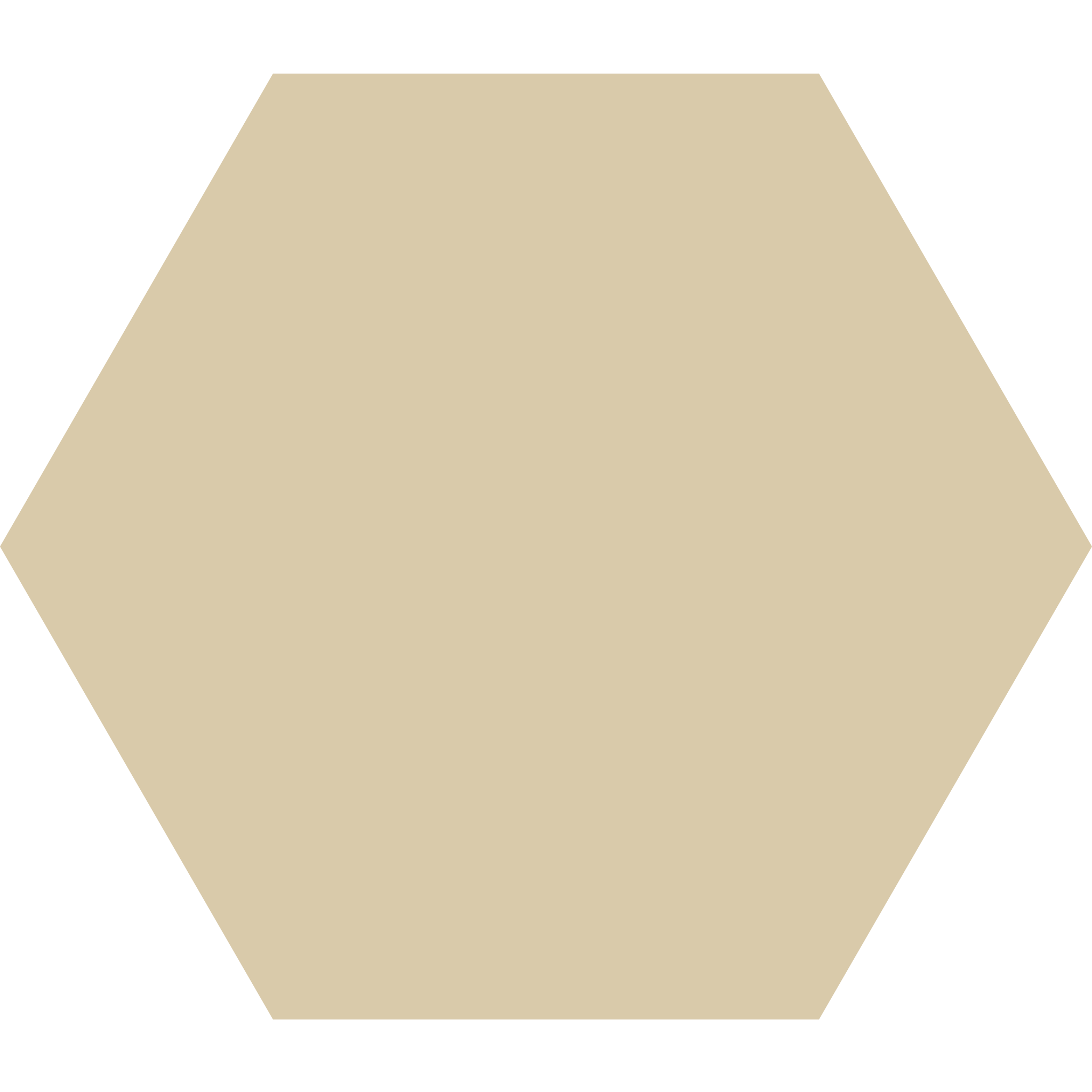 Winckelmans Hexagon 100 x 100