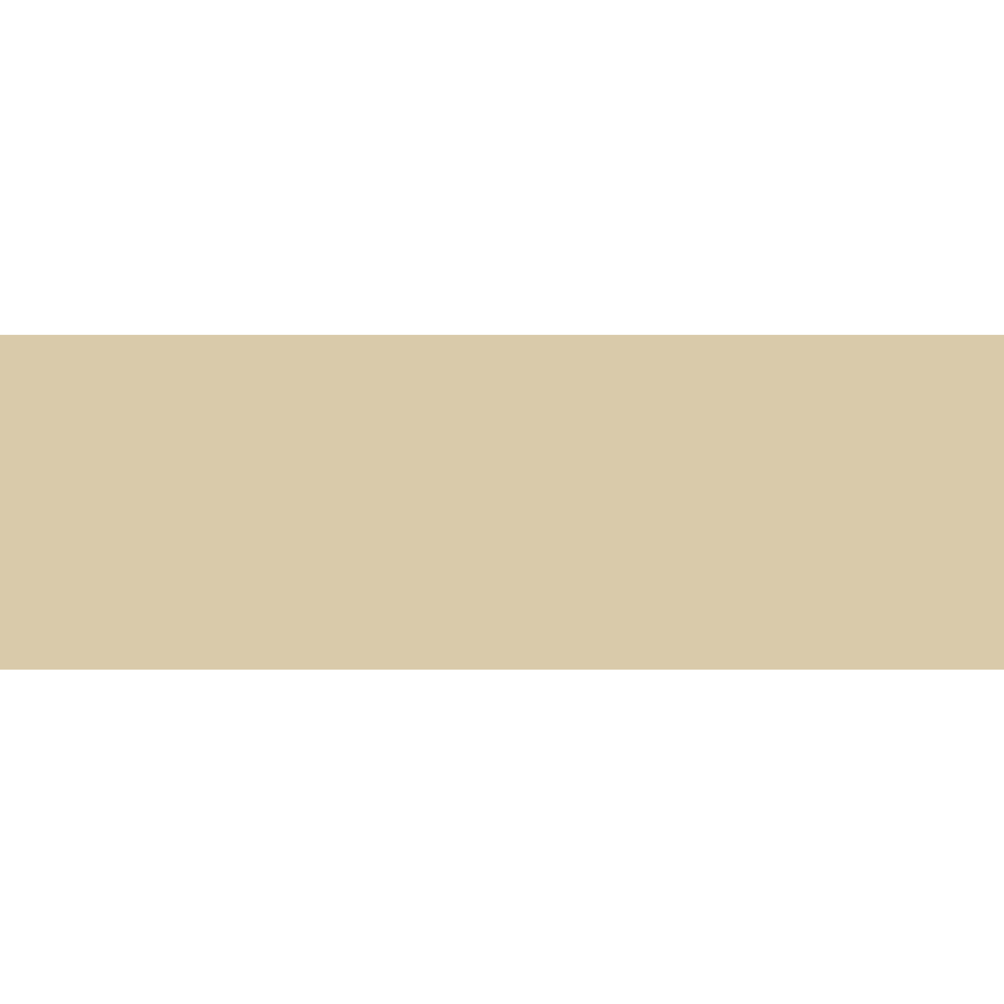 Winckelmans Rectangle 50 x 100