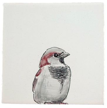Tuinvogel 10 - 130 x 130
