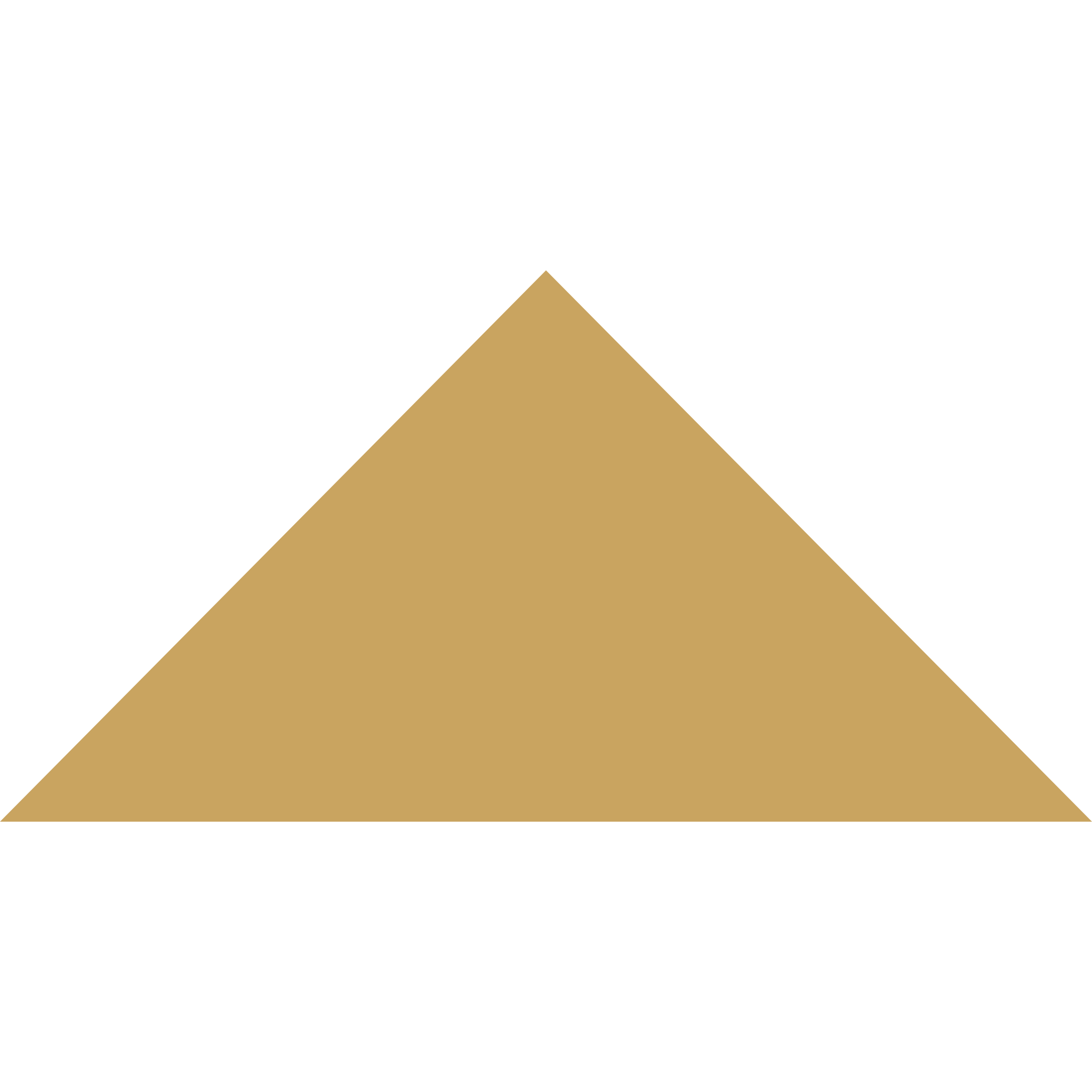 Winckelmans Triangle 100 x 100 x 140