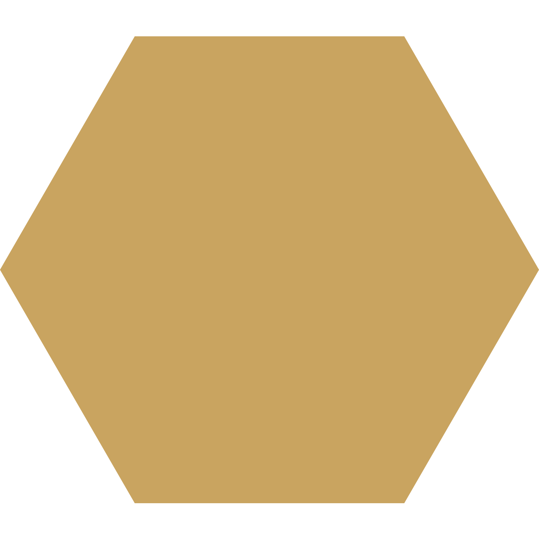 Winckelmans Hexagon 100 x 100