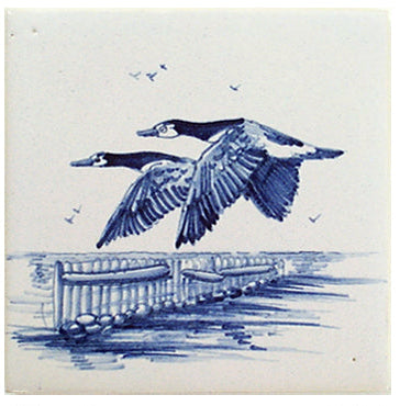 Vogels waddeneiland 11 - 130 x 130
