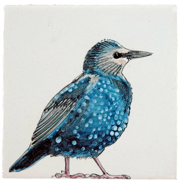 Tuinvogel 11 - 130 x 130