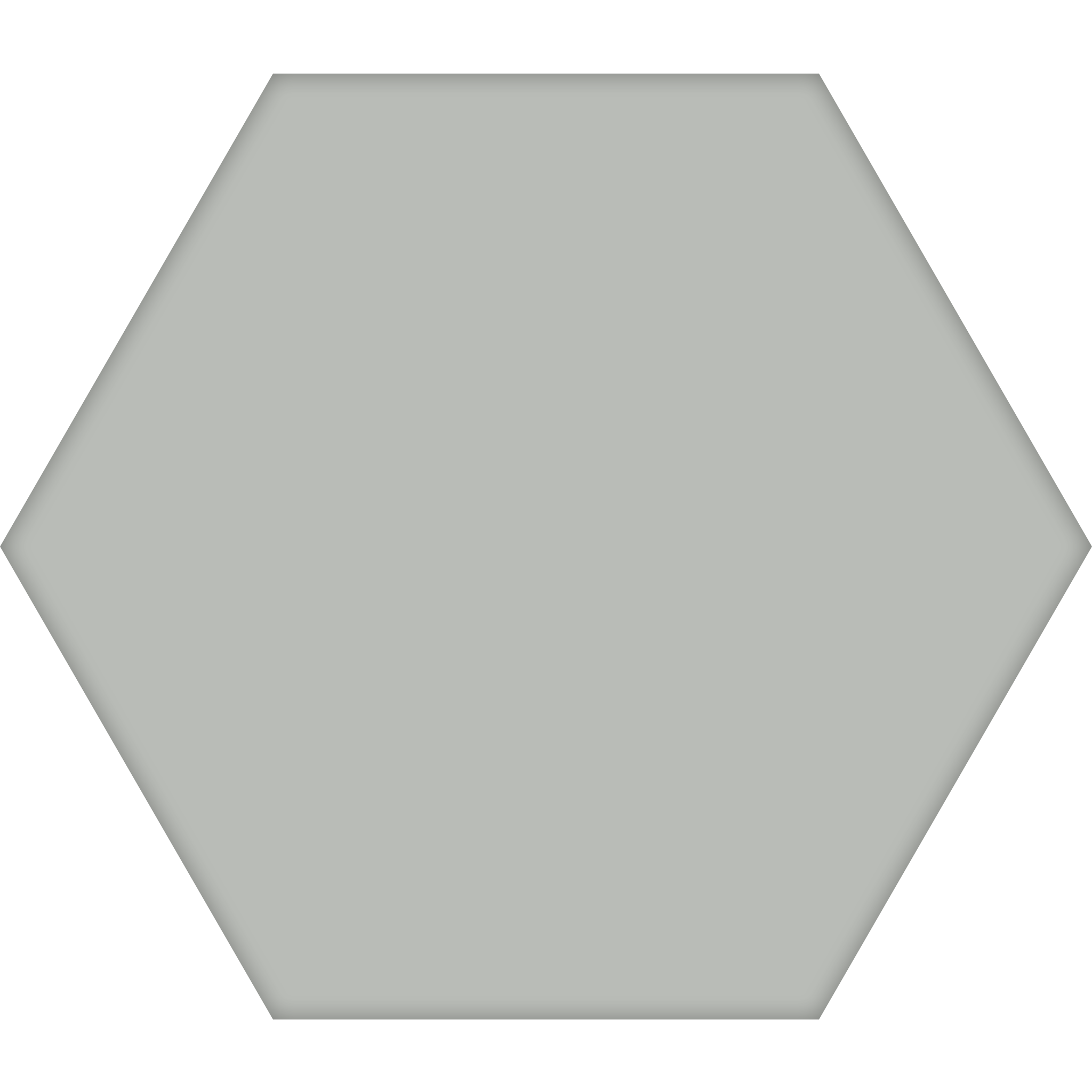 TopCer Hexagon 100 x 100