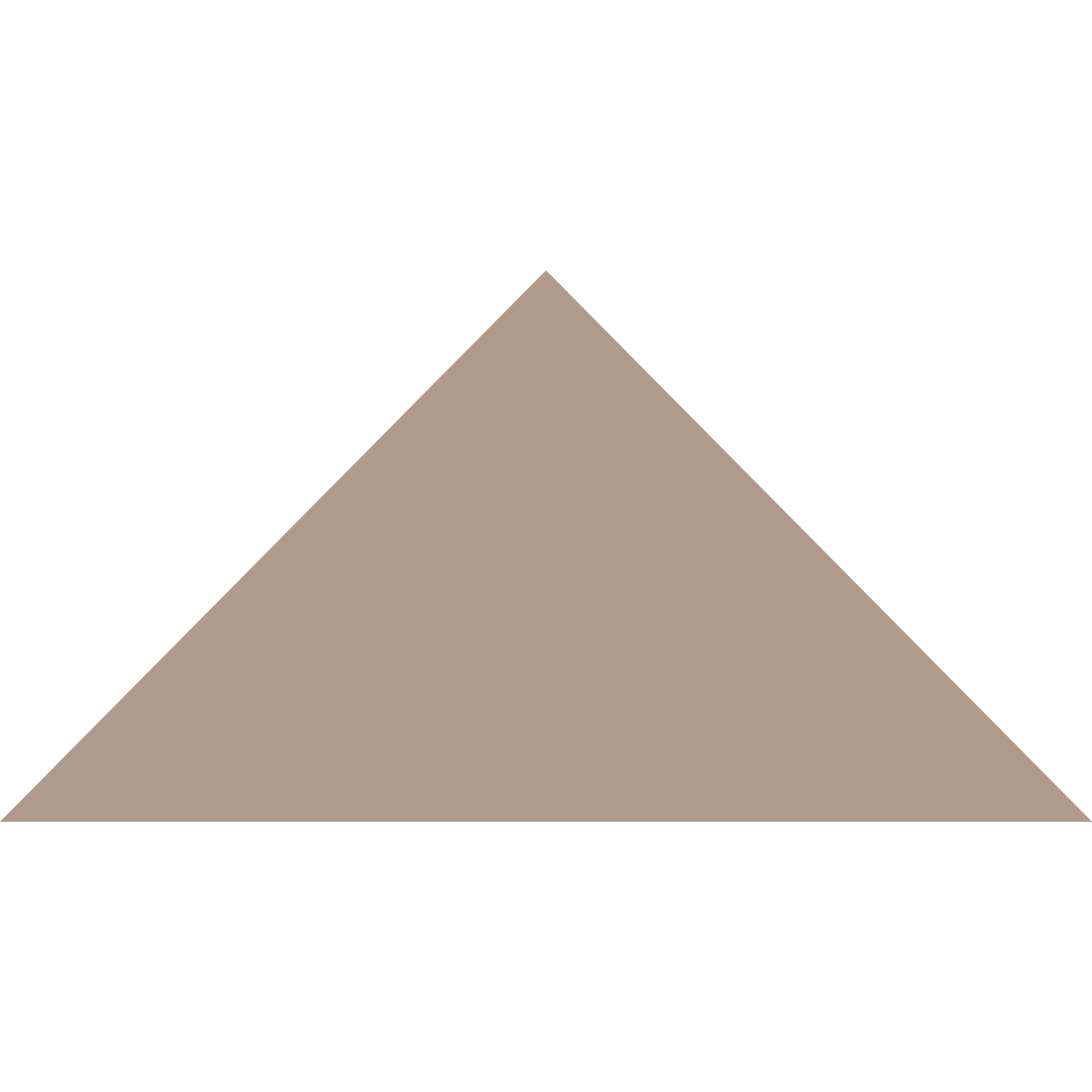 Winckelmans Triangle 100 x 100 x 140