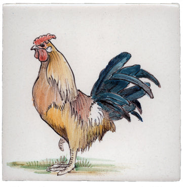 Haan (Dieren rond de boerderij) 130 x 130 x 8
