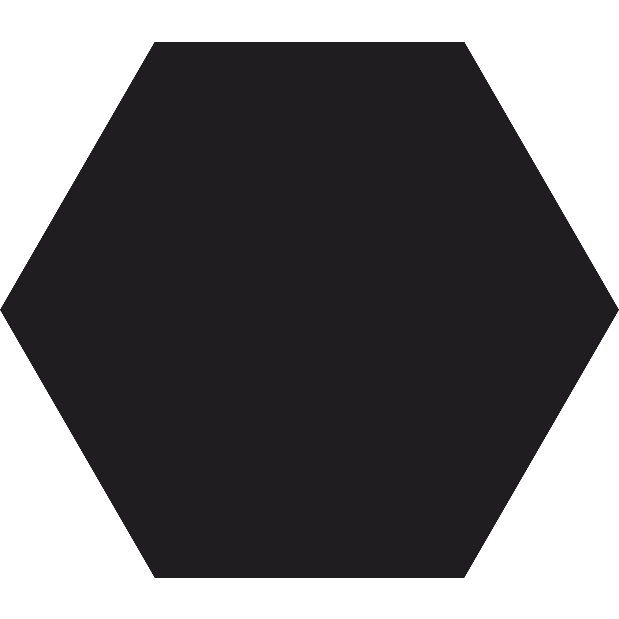 Winckelmans Hexagon 100 x 100