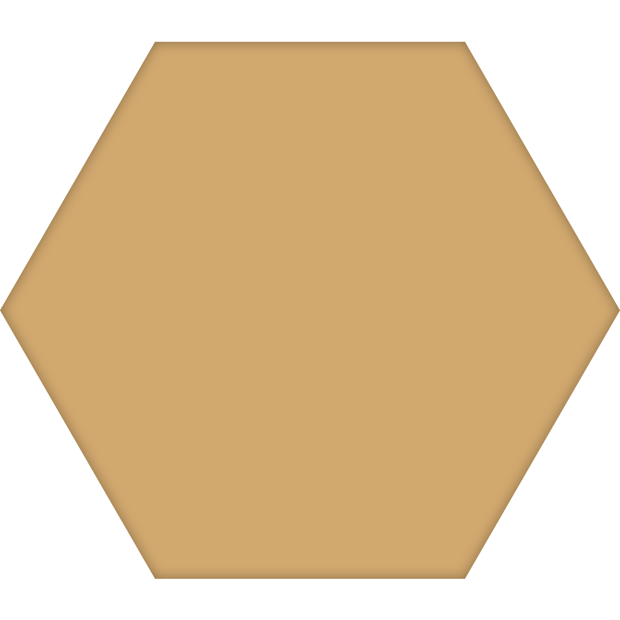 TopCer Hexagon 100 x 100