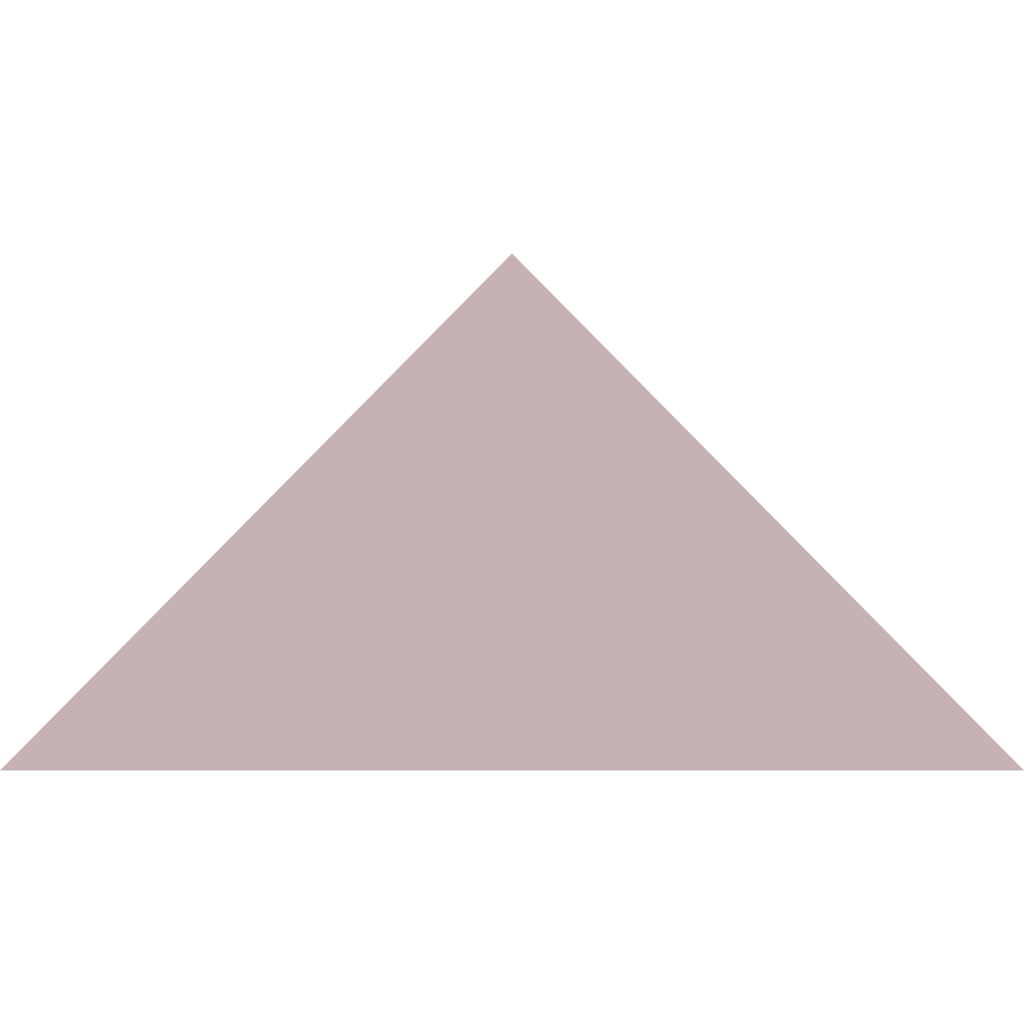 Winckelmans Triangle 100 x 100 x 140
