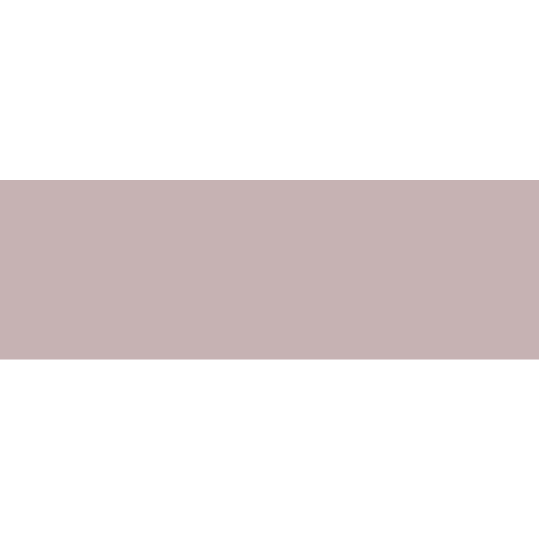 Winckelmans Rectangle 50 x 100