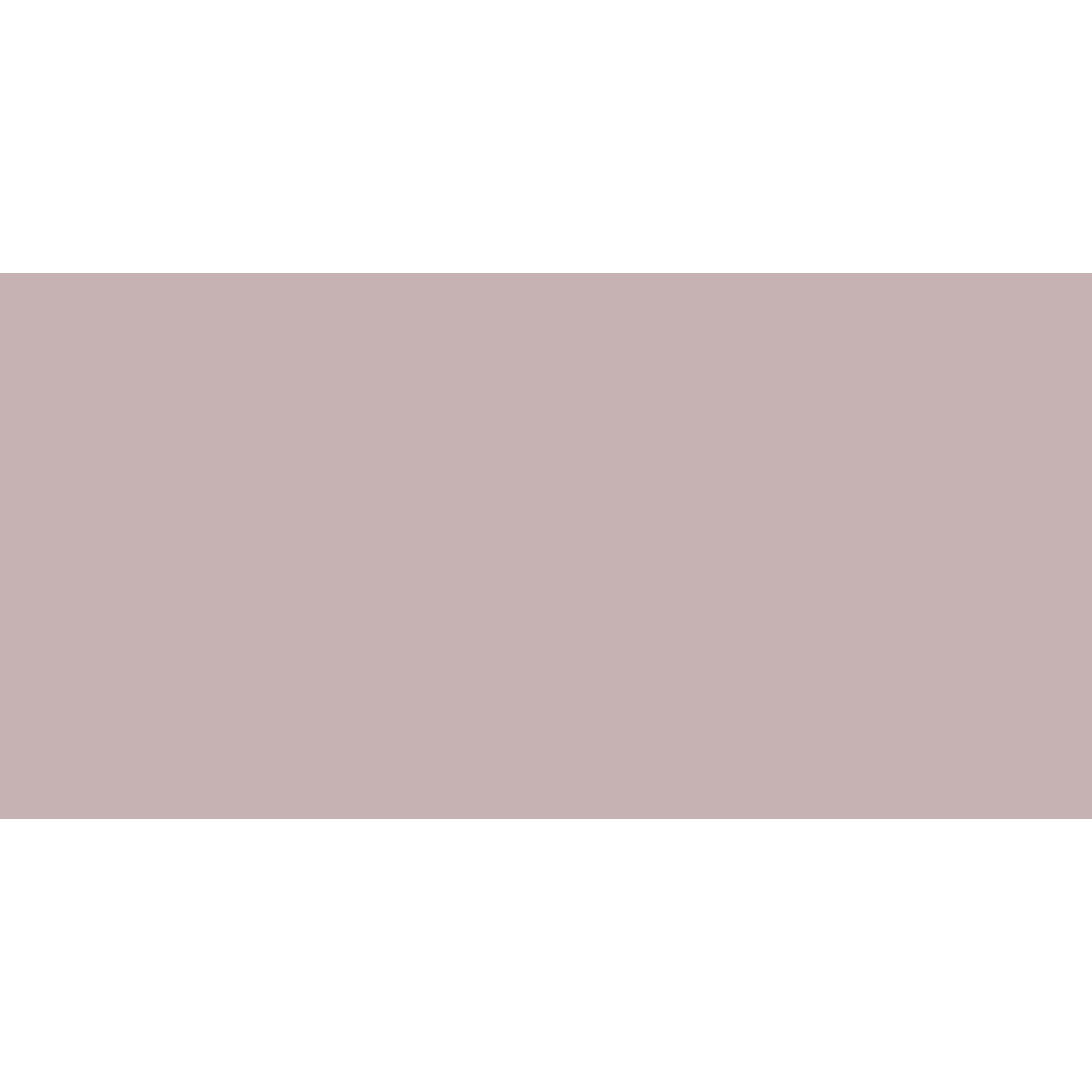 Winckelmans Rectangle 100 x 200