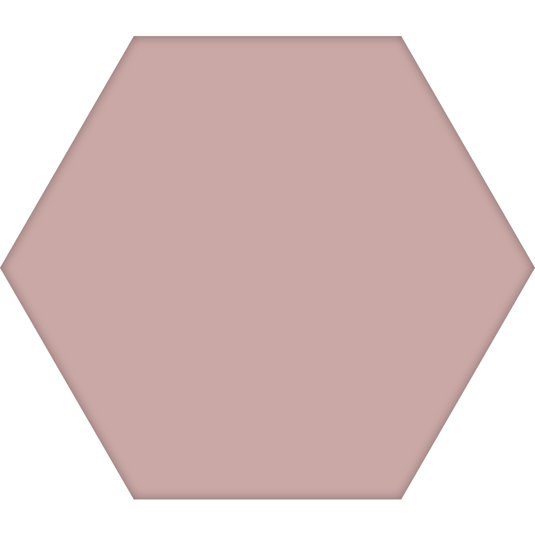 TopCer Hexagon 100 x 100