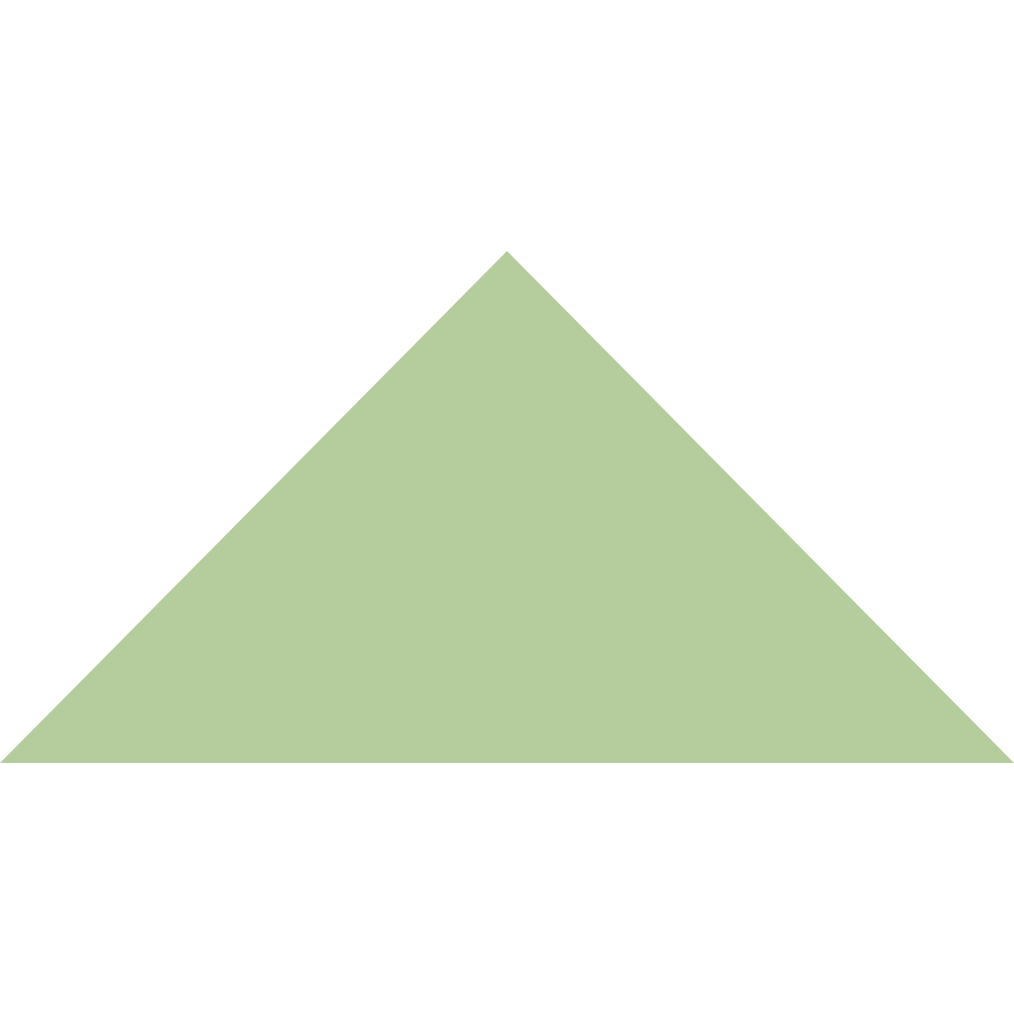 Winckelmans Triangle 100 x 100 x 140