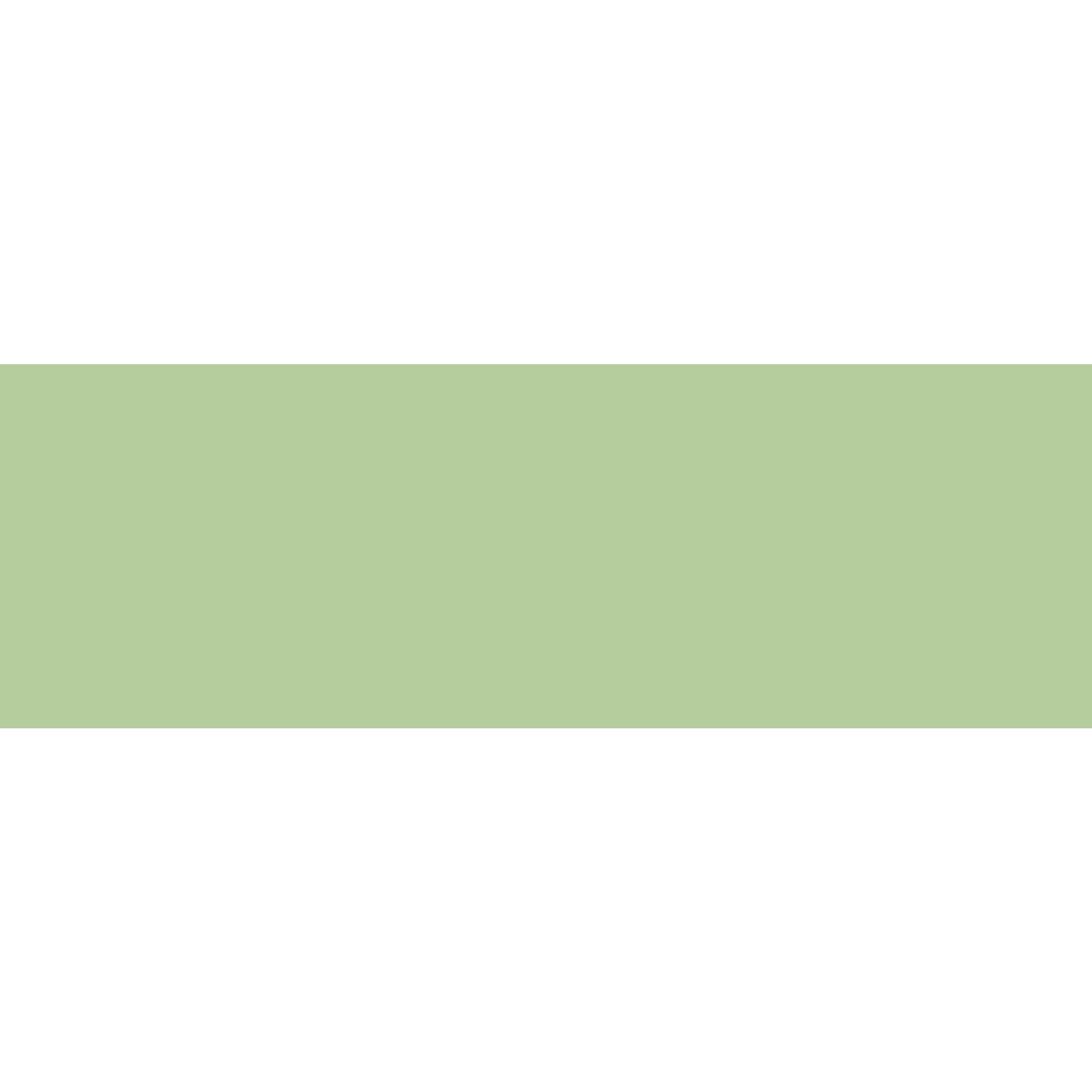 Winckelmans Rectangle 50 x 100