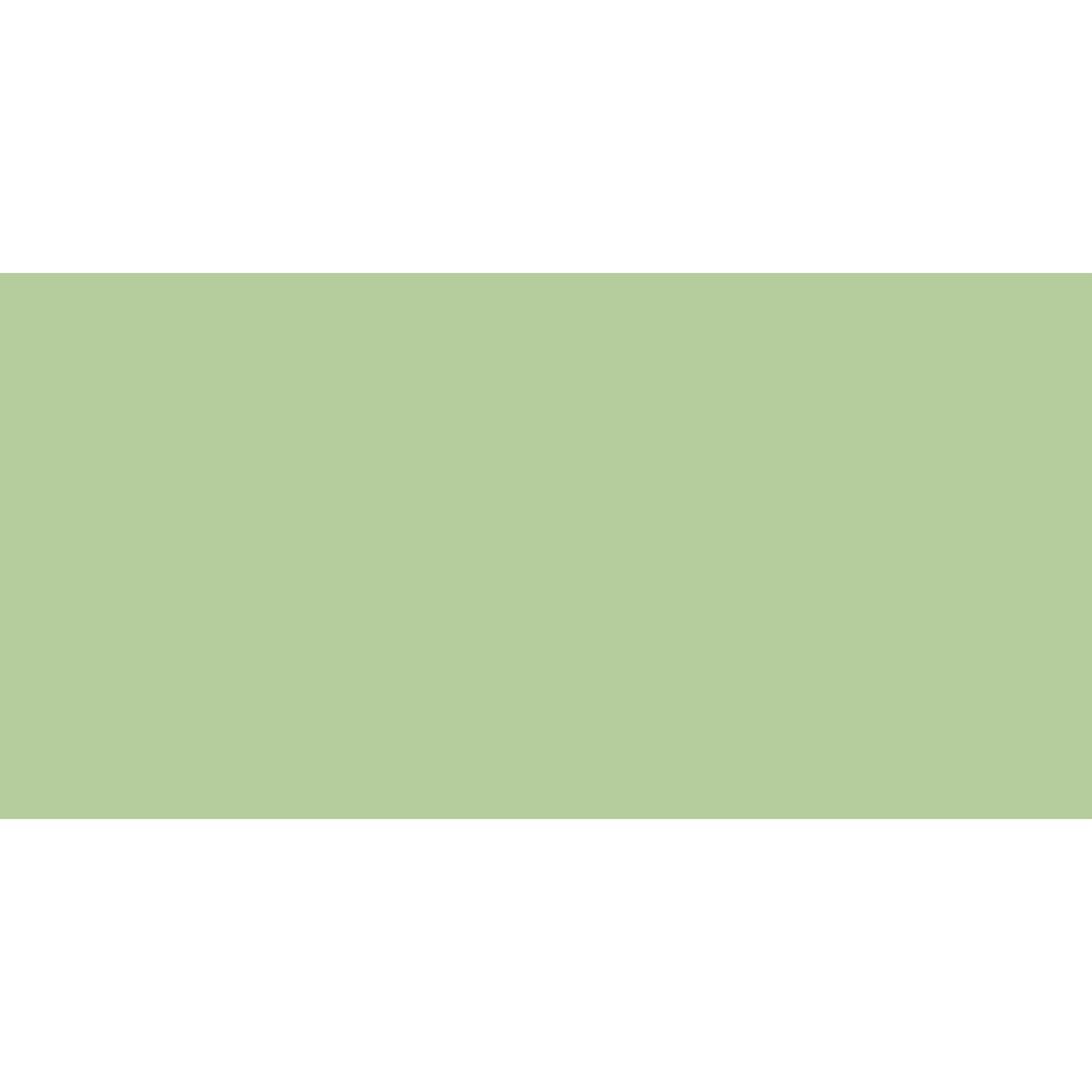 Winckelmans Rectangle 100 x 200