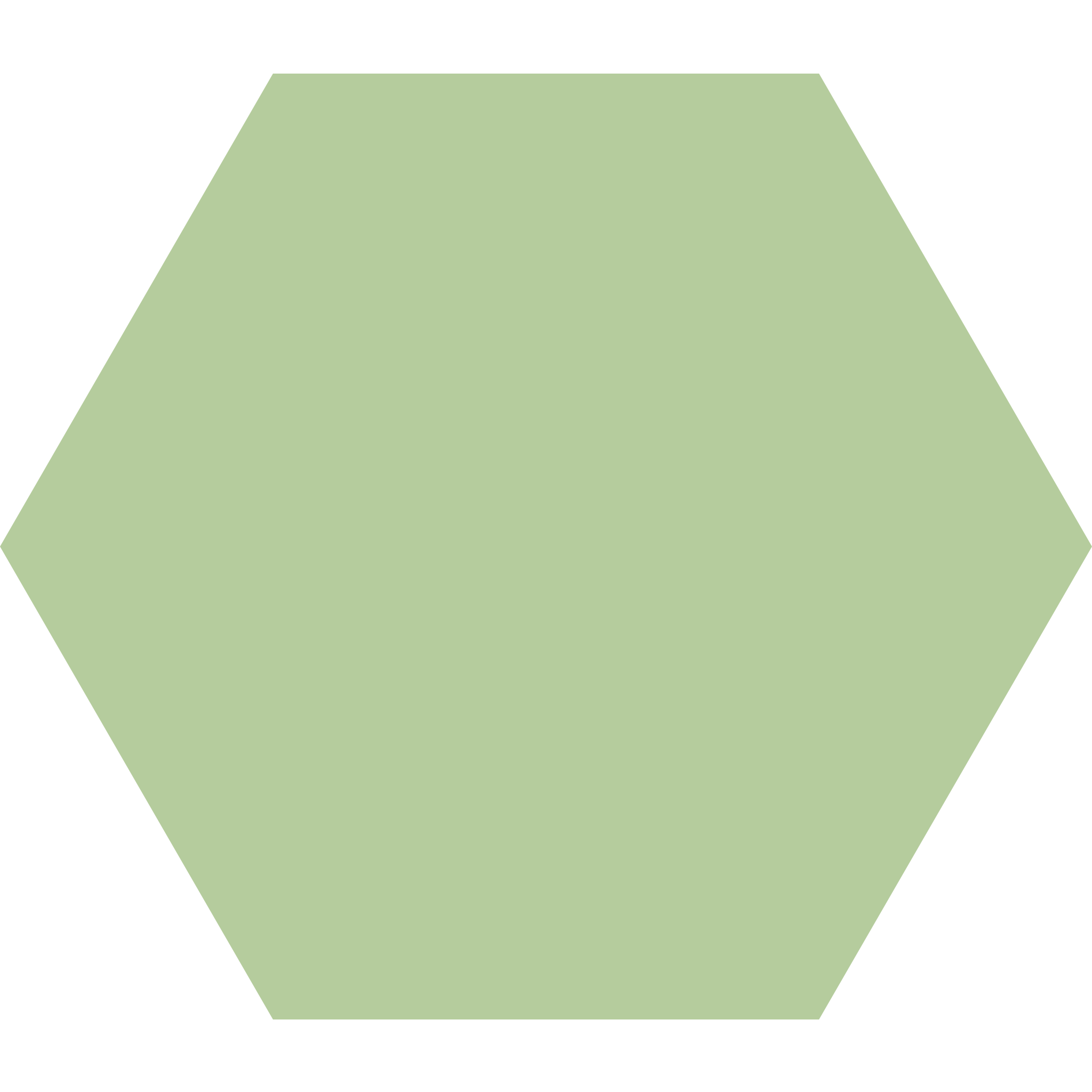 Winckelmans Hexagon 100 x 100