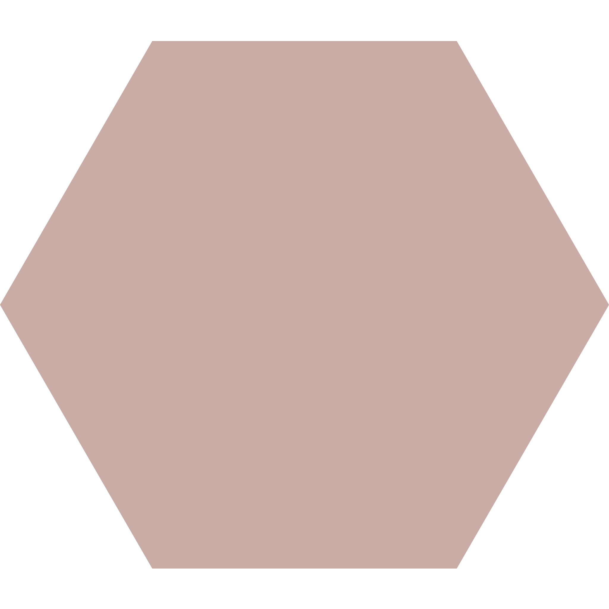 Winckelmans Hexagon 100 x 100