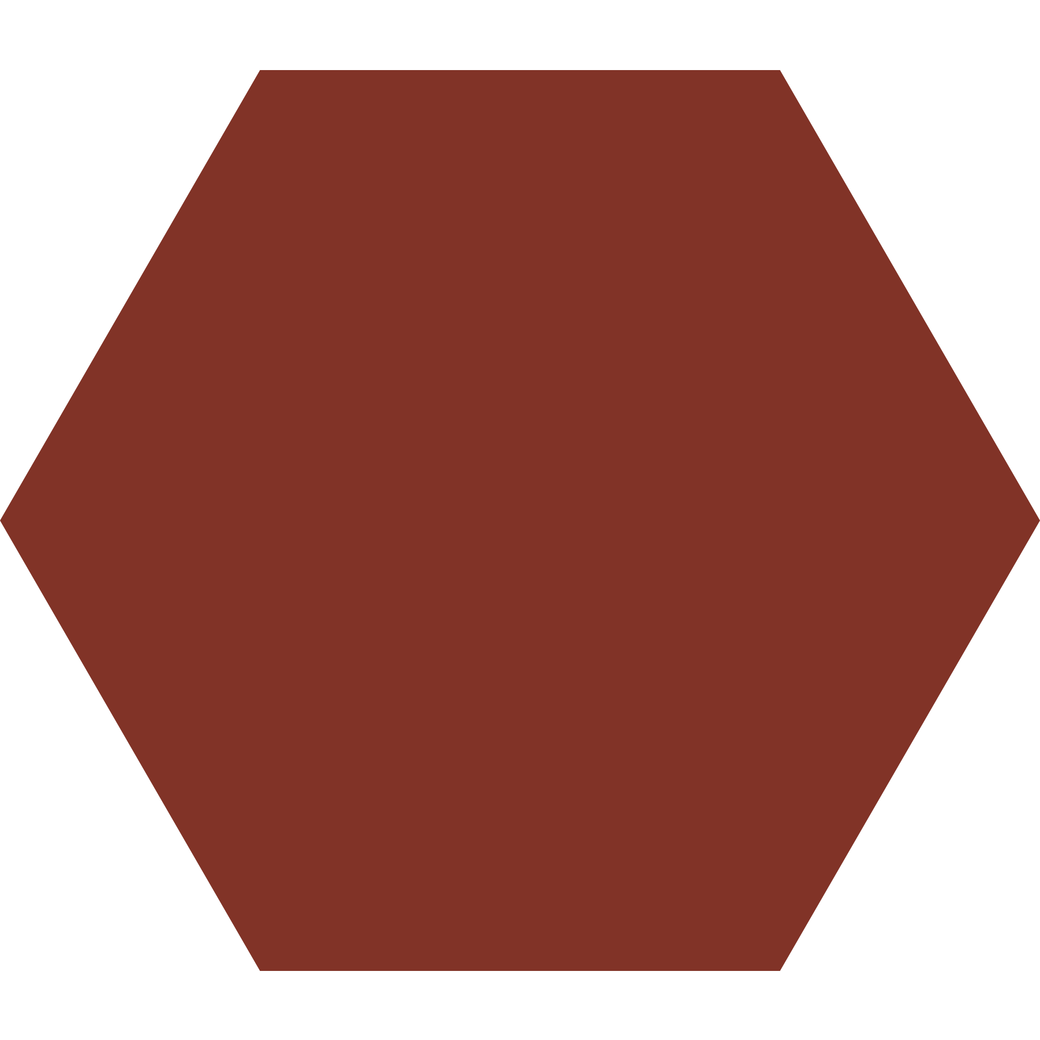 Winckelmans Hexagon 100 x 100