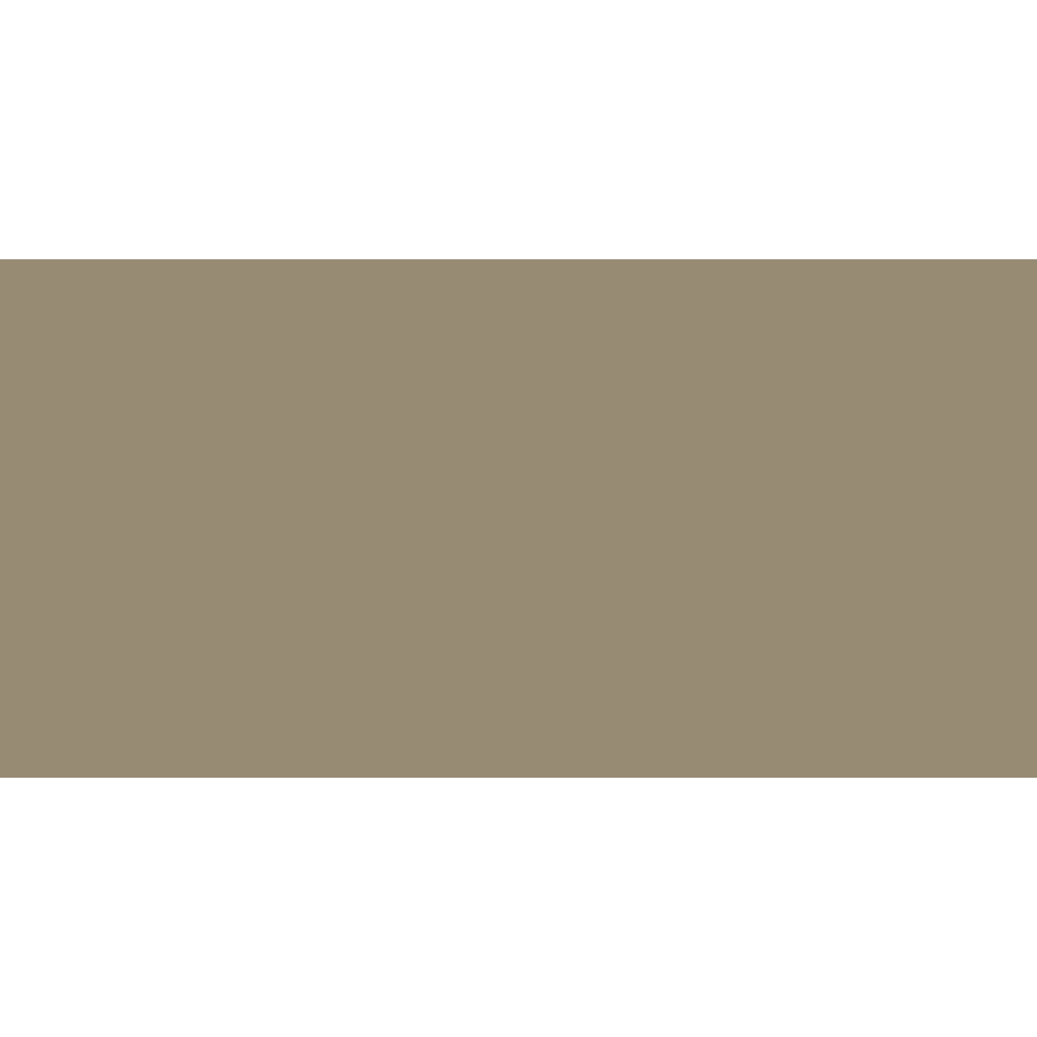 Winckelmans Rectangle 100 x 200