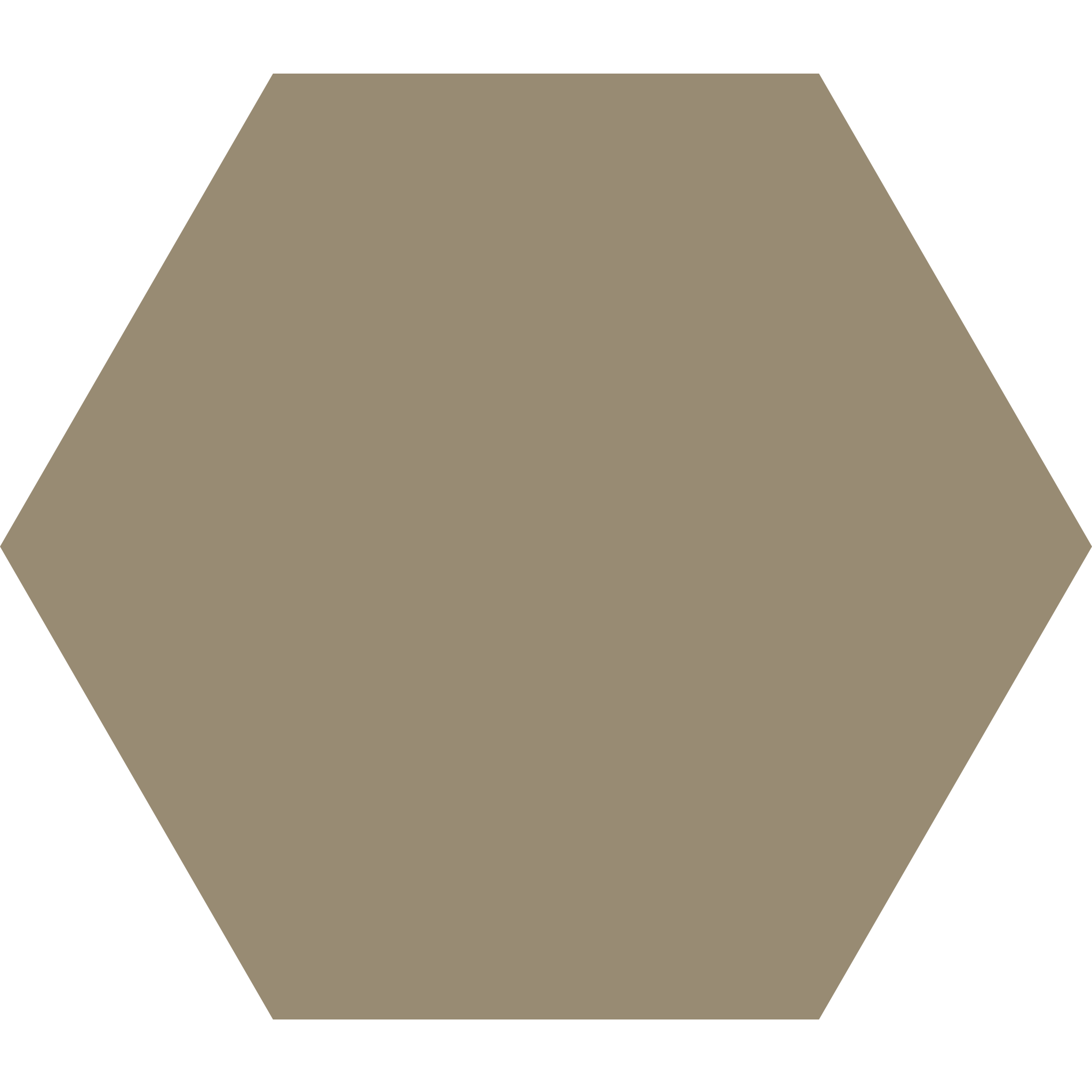 Winckelmans Hexagon 100 x 100