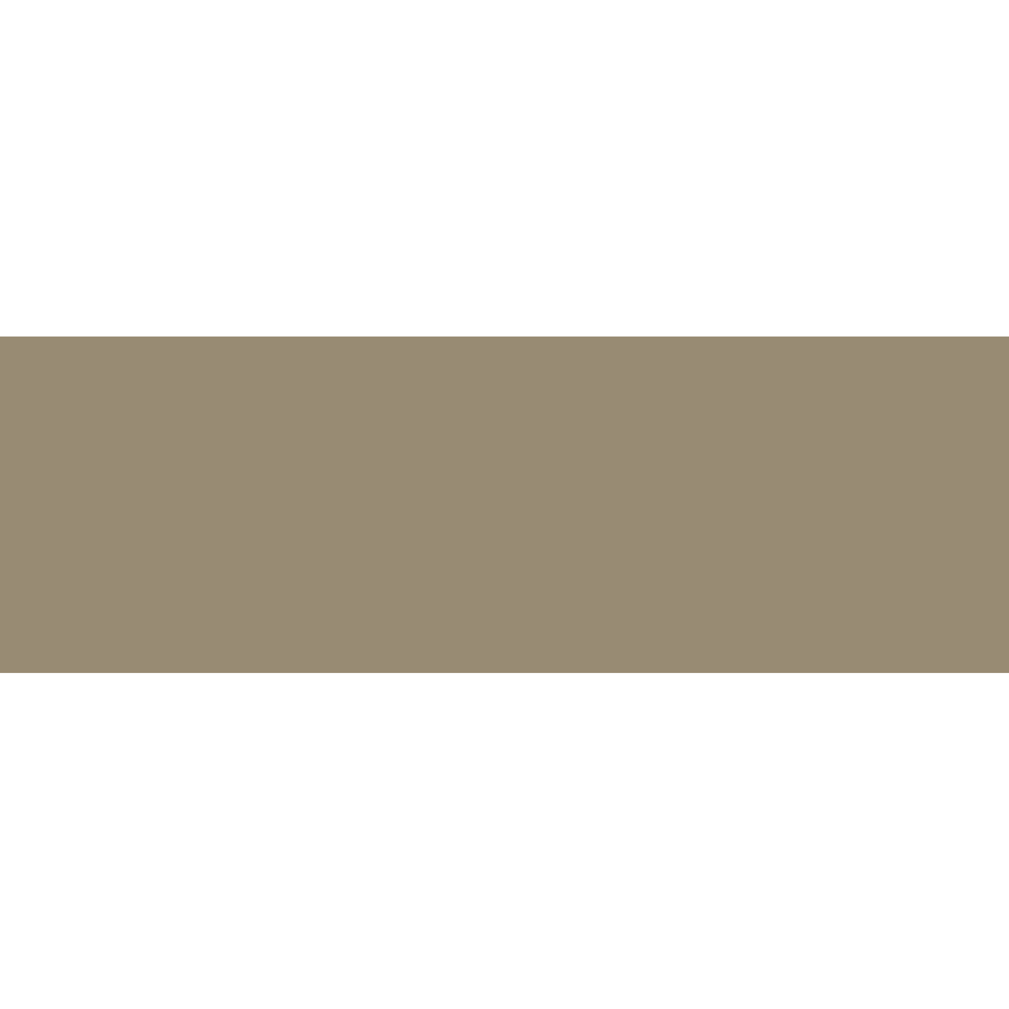 Winckelmans Rectangle 50 x 100