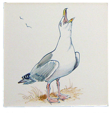 Meeuw 7 - 130 x 130