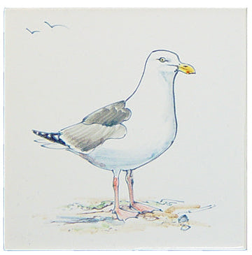 Meeuw 2 - 130 x 130