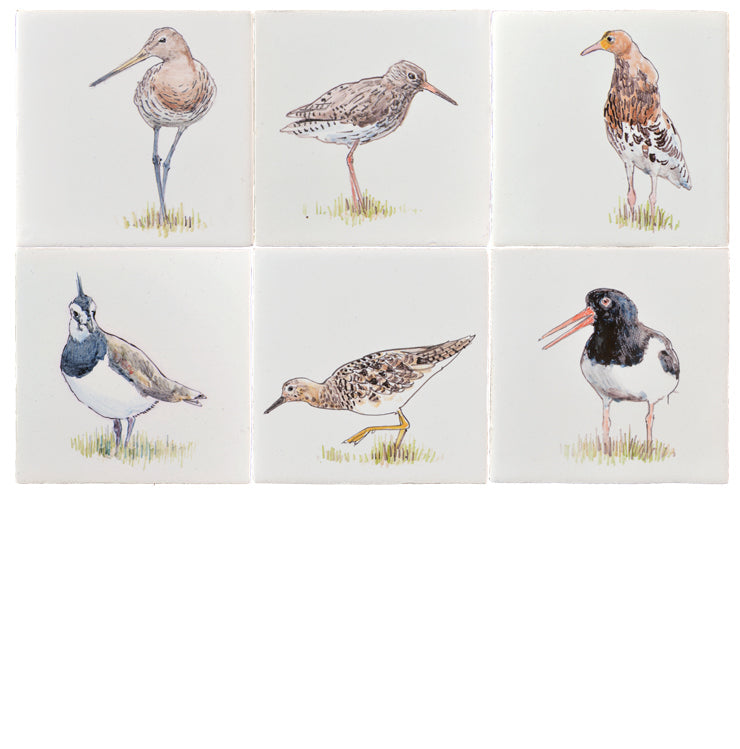 Weidevogels - 130 x 130 set (6 stuks)