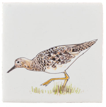Weidevogels 5 - 130 x 130