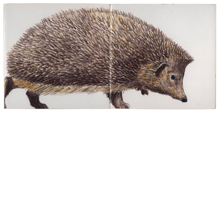Volwassen Egel 130 x 260 x 8