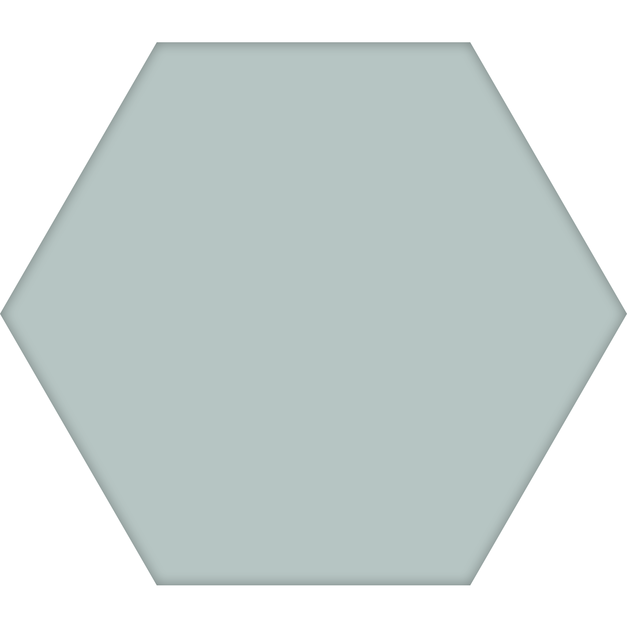 TopCer Hexagon 100 x 100