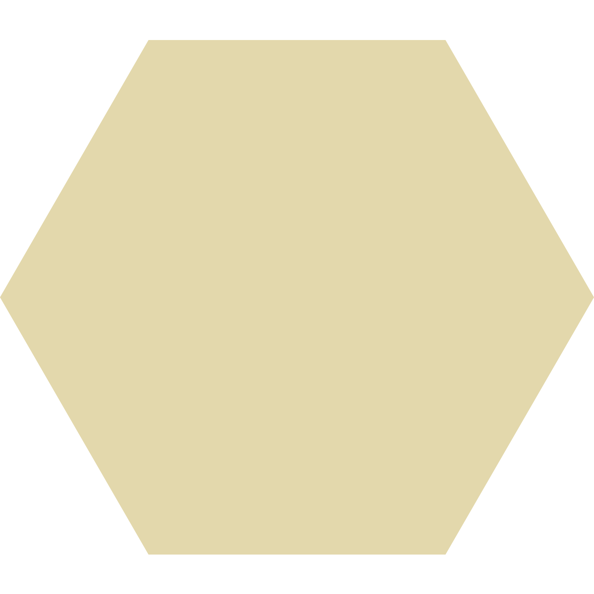 Winckelmans Hexagon 100 x 100