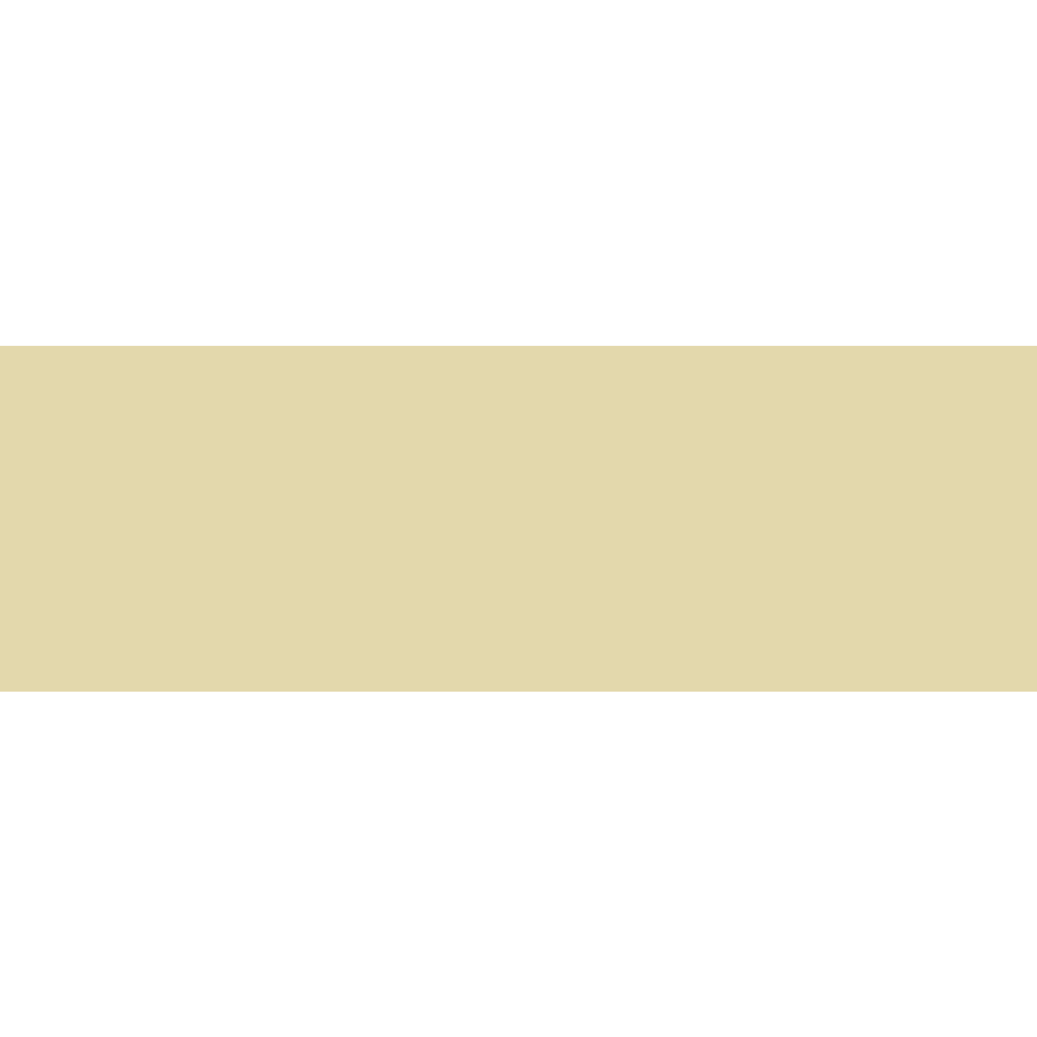Winckelmans Rectangle 50 x 100