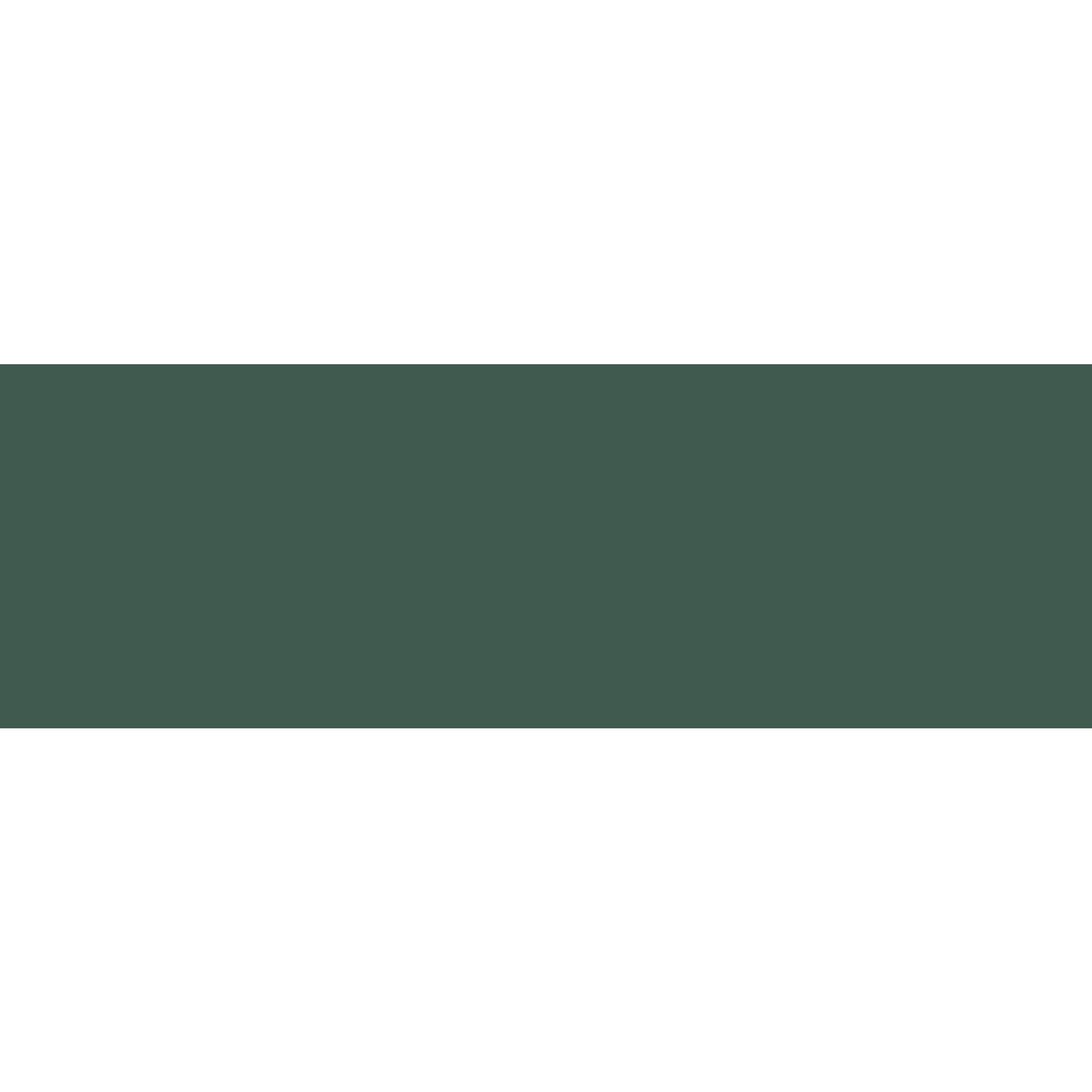 Winckelmans Rectangle 50 x 100