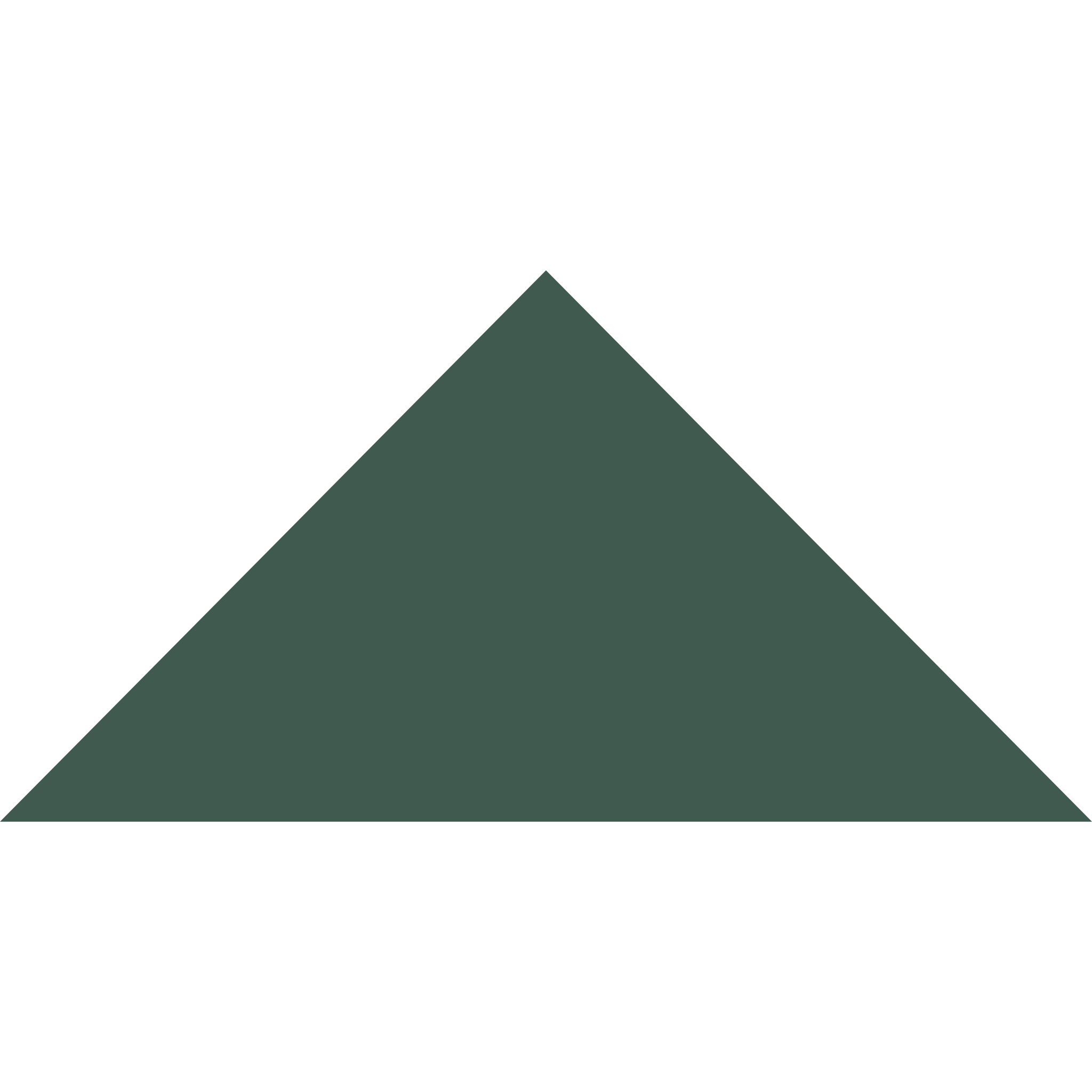 Winckelmans Triangle 100 x 100 x 140