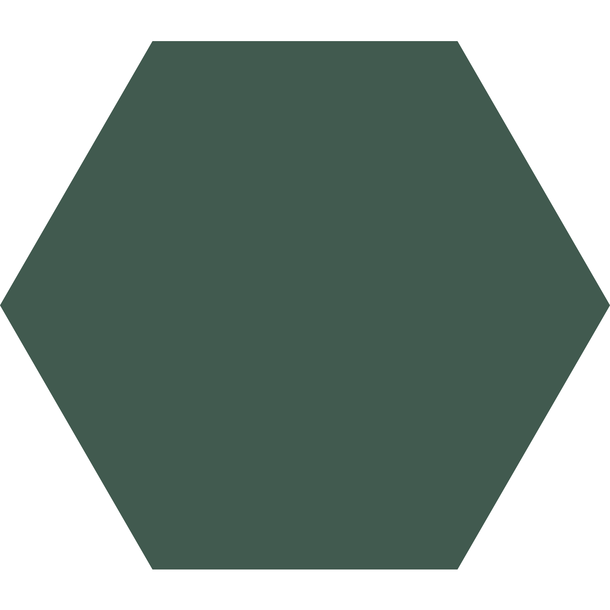 Winckelmans Hexagon 100 x 100