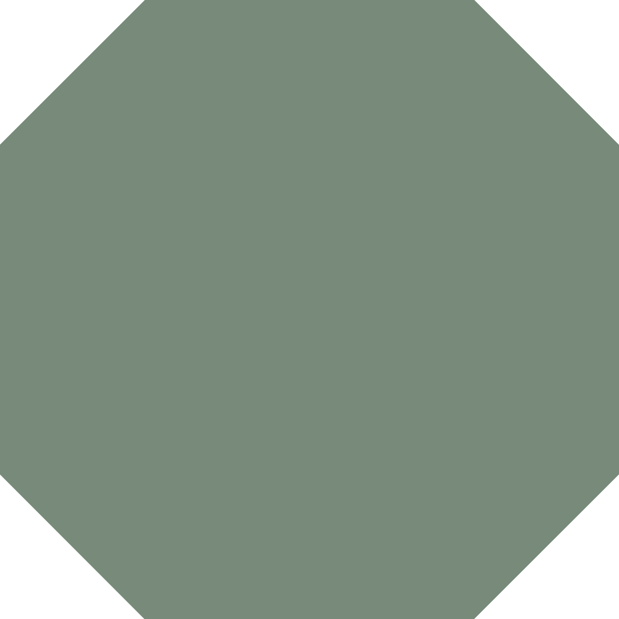 Winckelmans Octagon 150 x 150