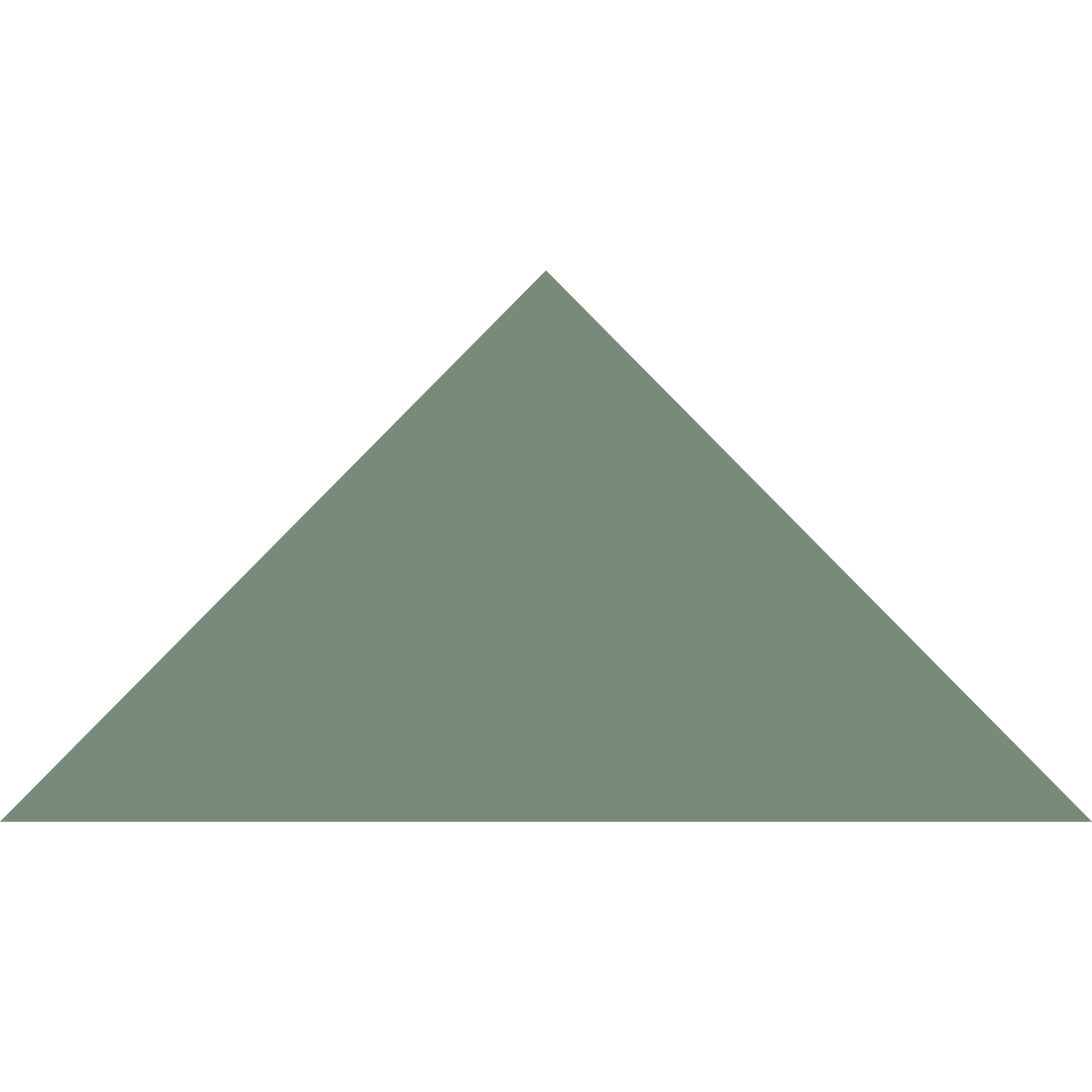Winckelmans Triangle 100 x 100 x 140