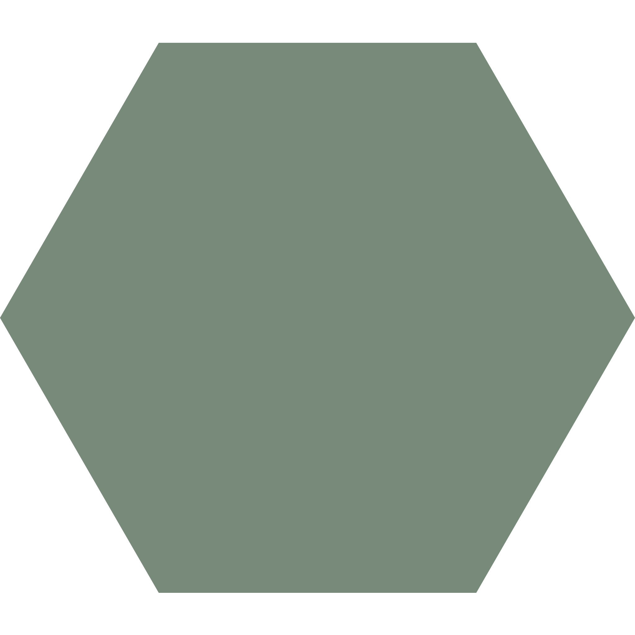 Winckelmans Hexagon 100 x 100