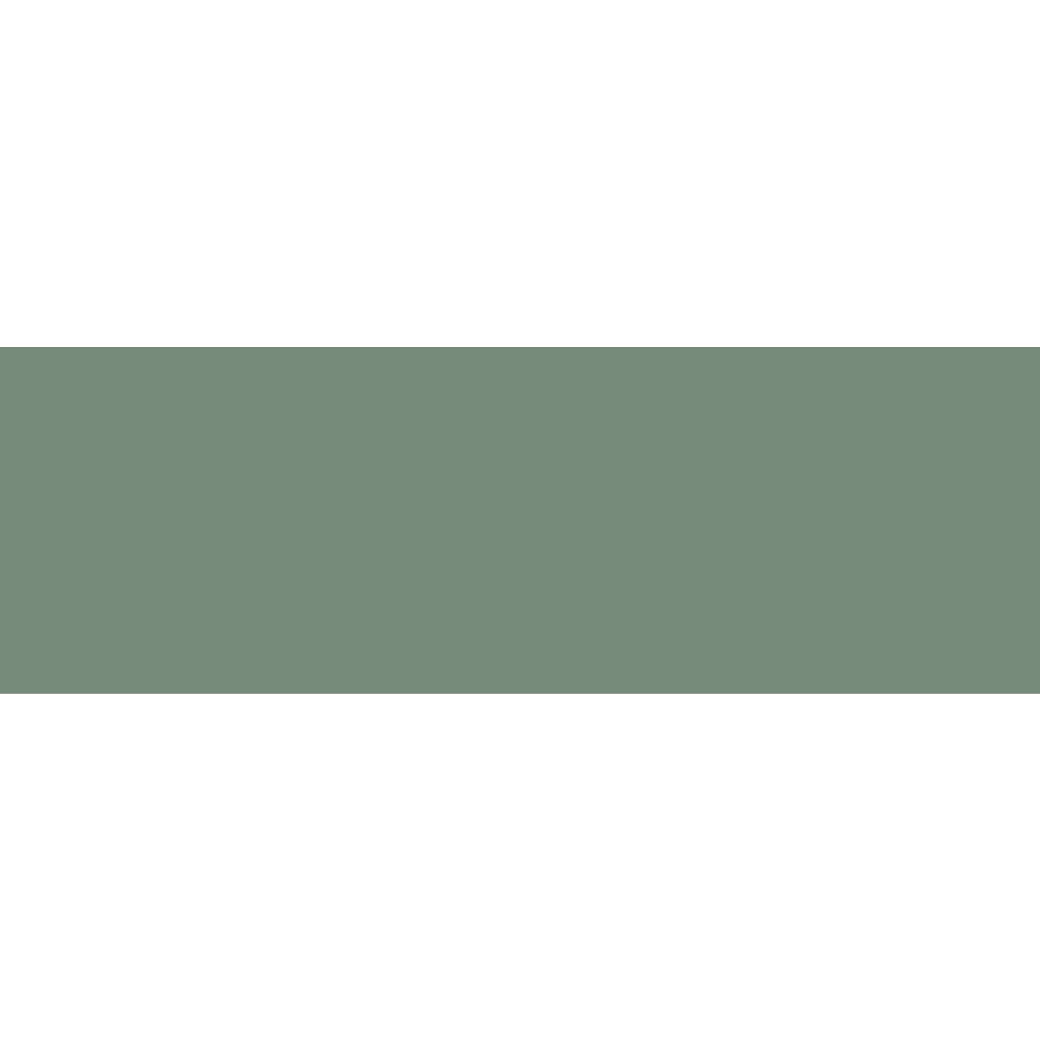 Winckelmans Rectangle 50 x 150