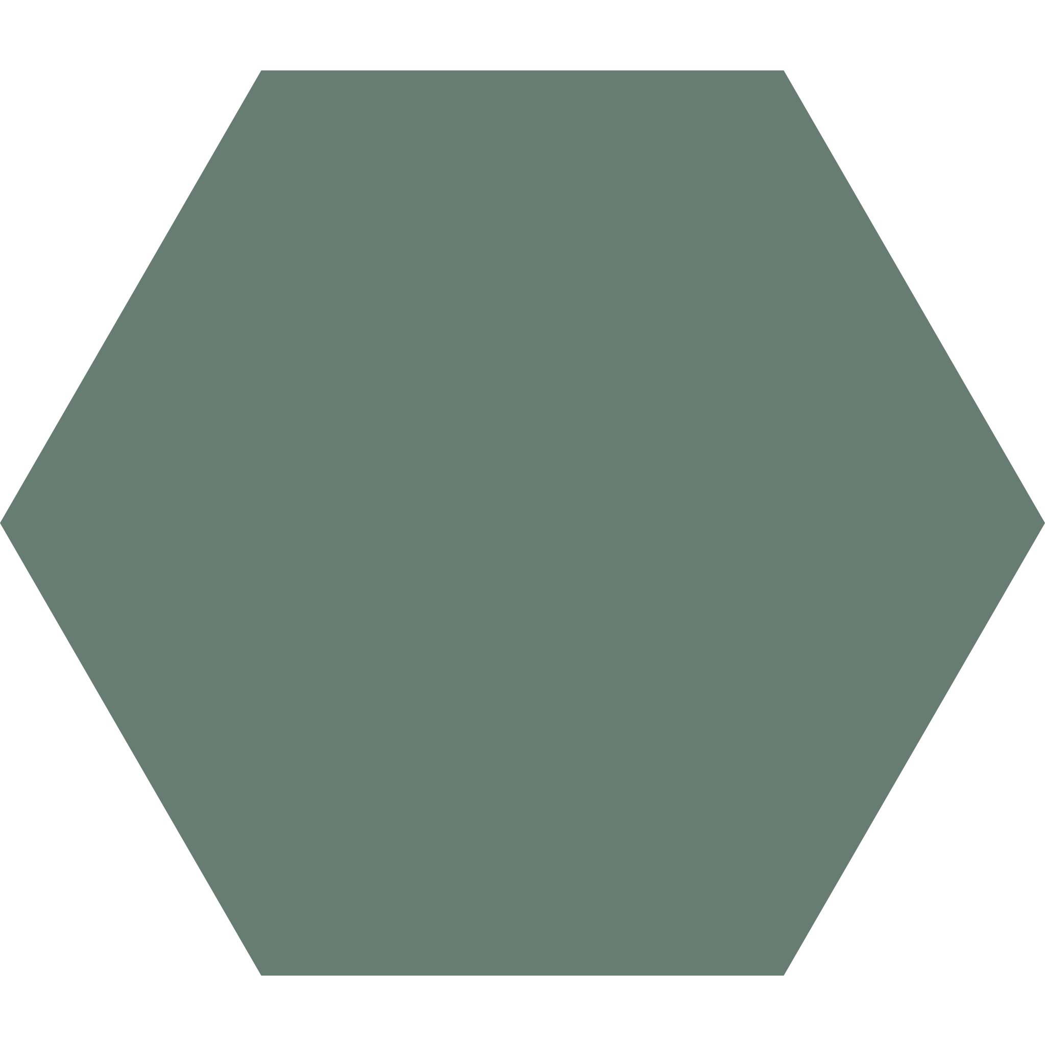Winckelmans Hexagon 100 x 100