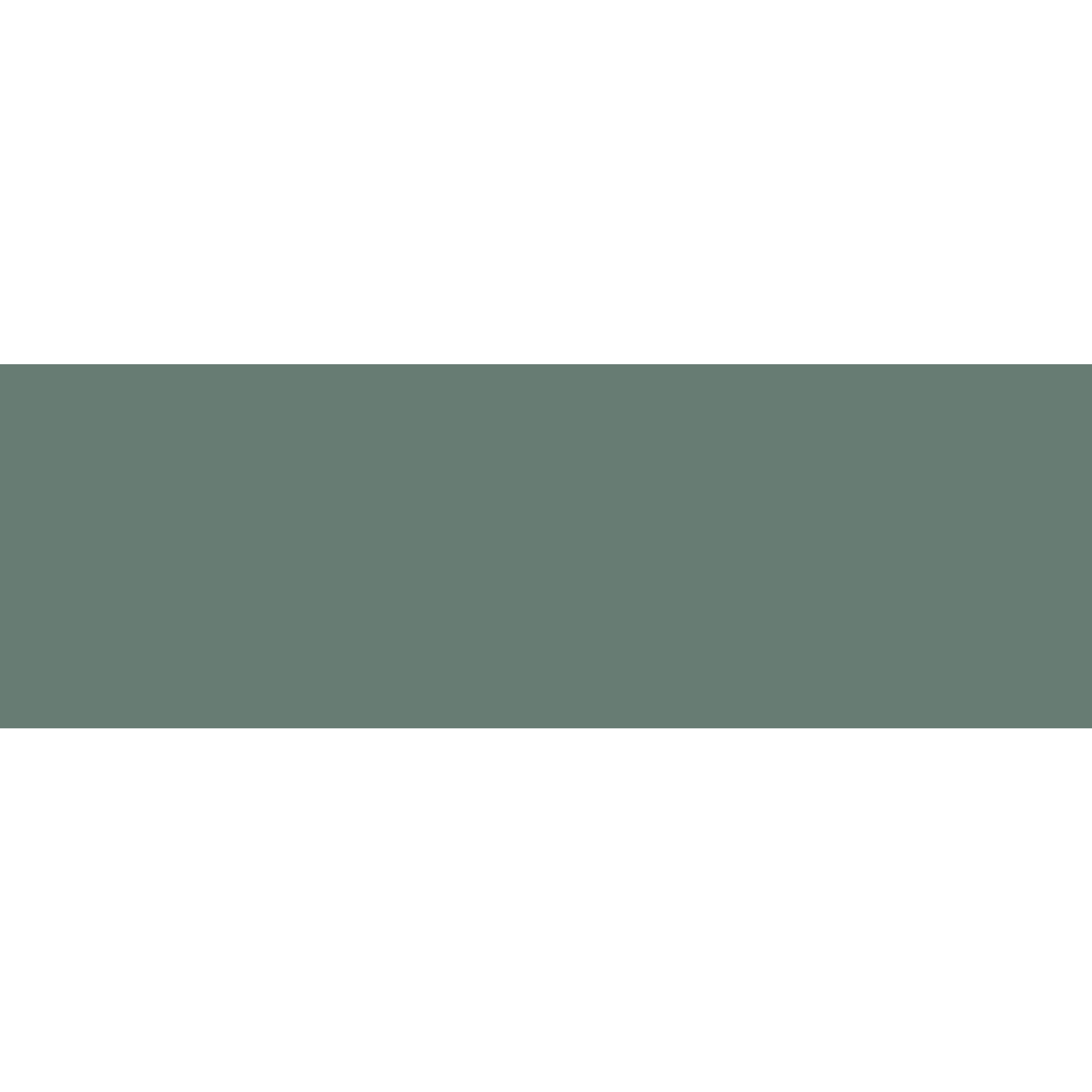 Winckelmans Rectangle 50 x 100